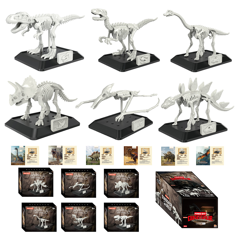 Symulacja Skamieniałości Dinoz – Model Kit Dinosaur recenzja i cena