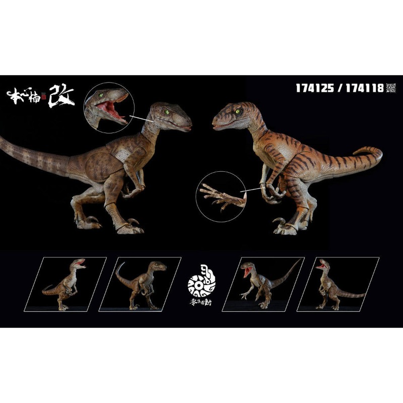 Honxin Nankai Zero Set Łatwy d – Model Kit Dinosaur recenzja i cena