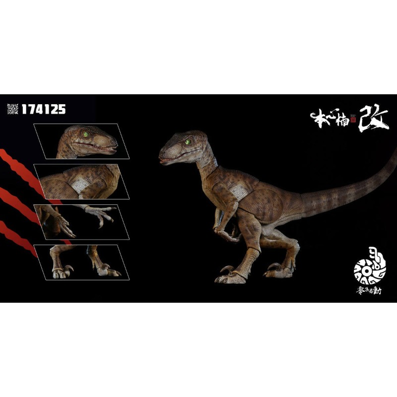 Honxin Nankai Zero Set Łatwy d – Model Kit Dinosaur recenzja i cena
