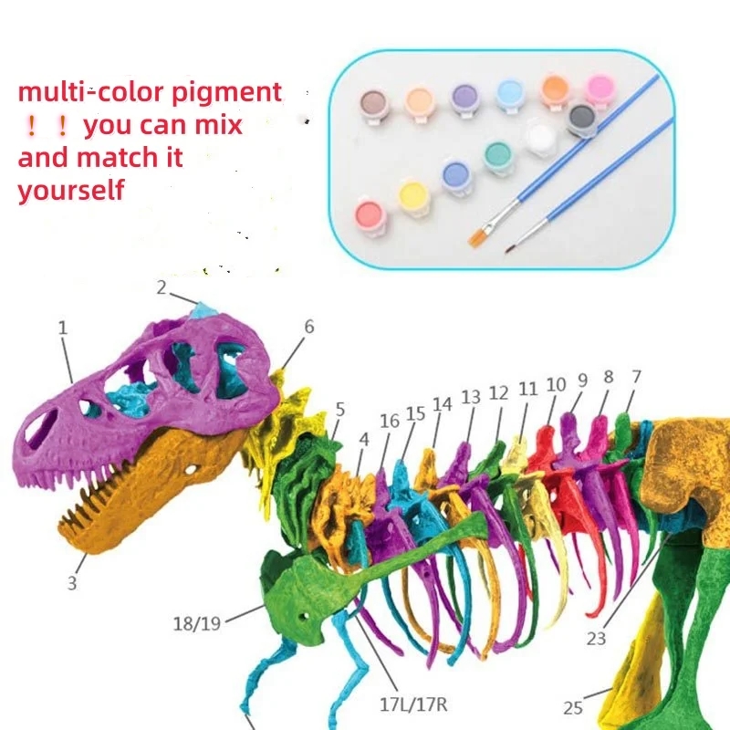 Duży DIY szkielet dinozaura za – Model Kit Dinosaur recenzja i cena